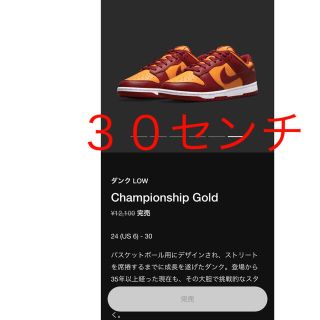 ナイキ(NIKE)のNIKE DUNK チャンピオンシップゴールド　３０センチ(スニーカー)