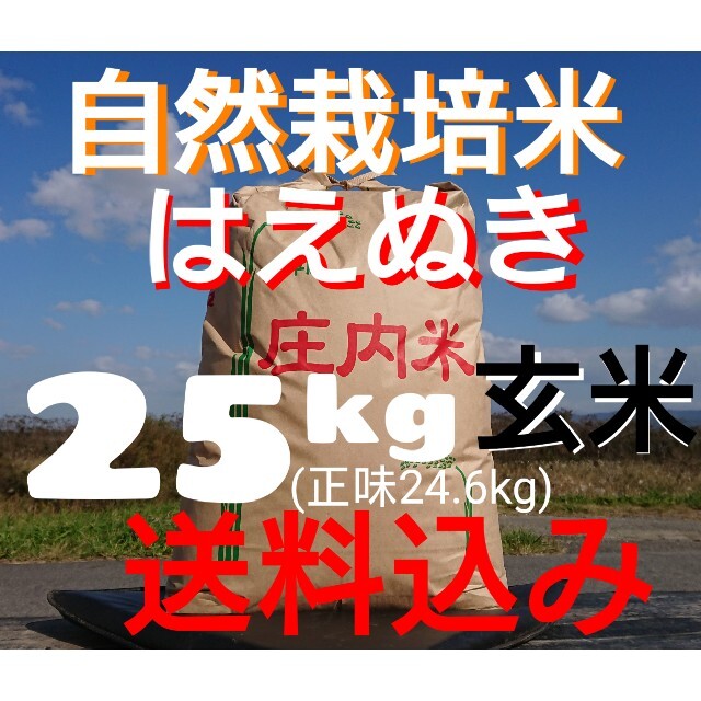 自然栽培 無農薬 氷温熟成 はえぬき3年産 山形県産 庄内米 玄米 25kg