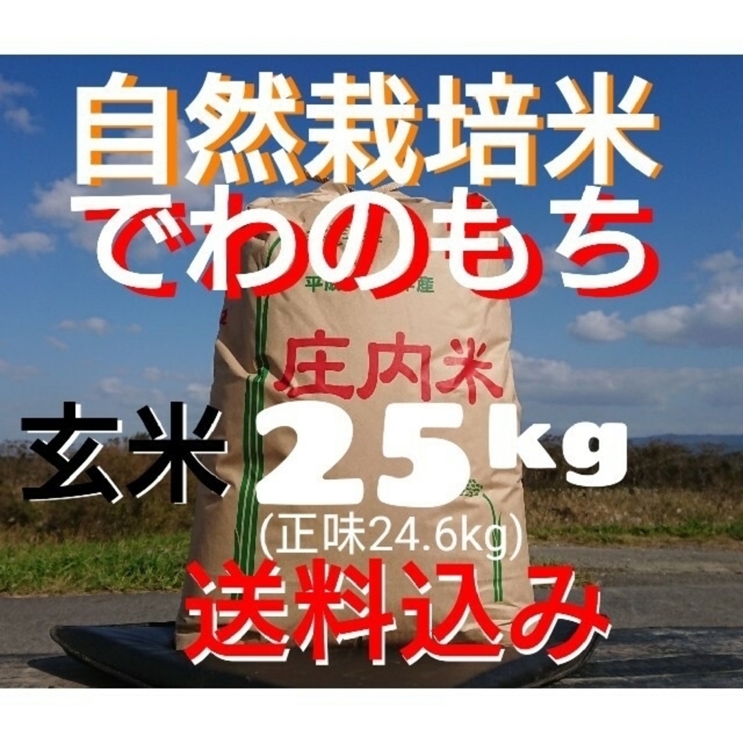 自然栽培 無農薬 氷温熟成 でわのもち4年産 山形県産 庄内米 米 25kg