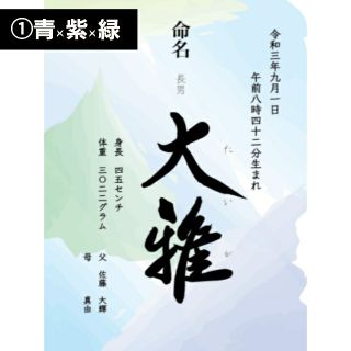 命名書　赤ちゃん　お七夜　百日祝い　命名式　記念(命名紙)