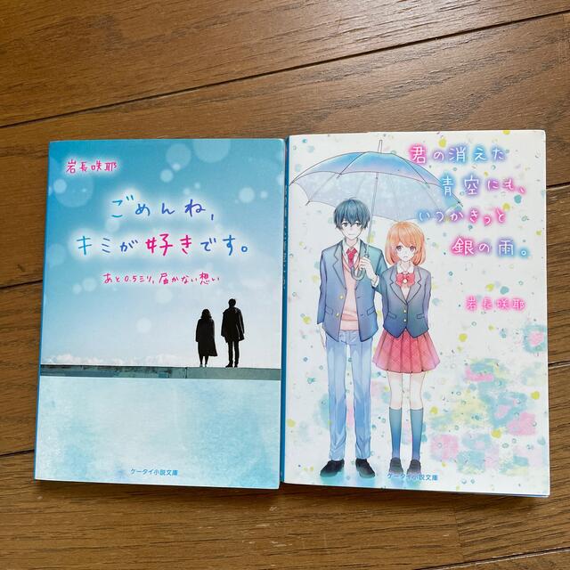 ごめんね、キミが好きです。 あと０．５ミリ、届かない想い エンタメ/ホビーの本(文学/小説)の商品写真