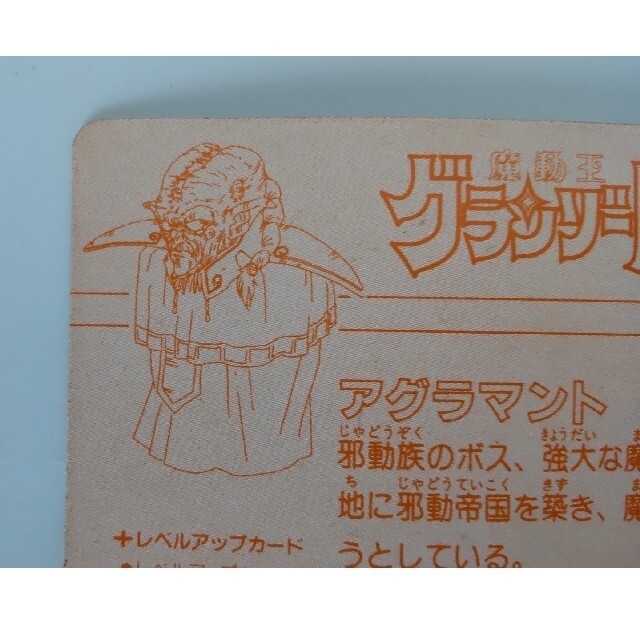 希少】グランゾート カード アグラマント