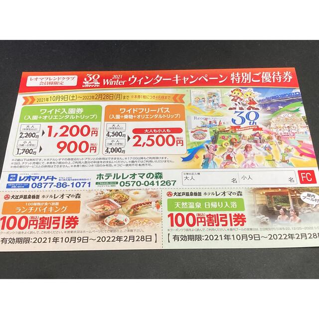 ニューレオマワールド 特別ご優待券 3枚 チケットの施設利用券(遊園地/テーマパーク)の商品写真