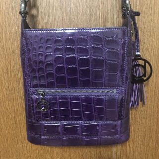 ボーグランショルダーバッグ✨超ソフト本物クロコダイルボーグラン