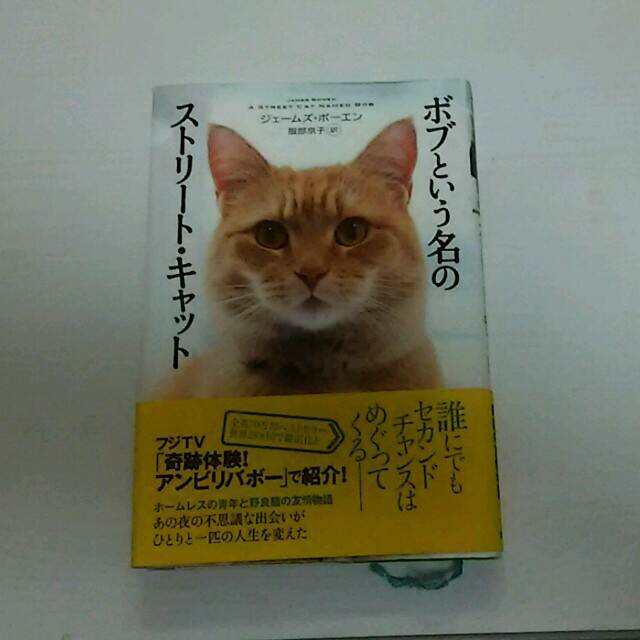 ※チロル様専用※  値下げ中！美品 単行本 ボブという名のストリート・キャット エンタメ/ホビーの本(文学/小説)の商品写真