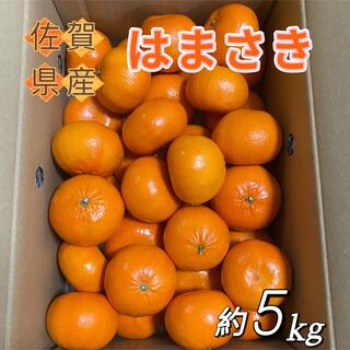 佐賀産　はまさき　みかん　箱含む5kg  秀品　M〜4Lサイズ　柑橘(フルーツ)