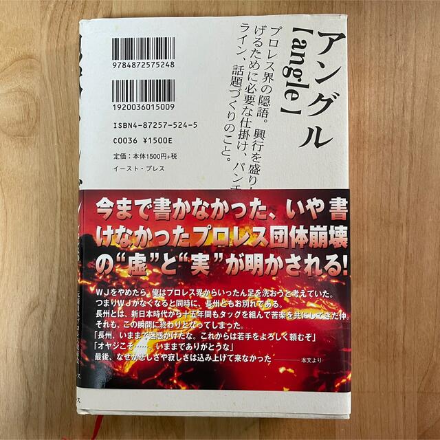 地獄のアングル プロレスのどん底を味わった男の告白 エンタメ/ホビーの本(人文/社会)の商品写真