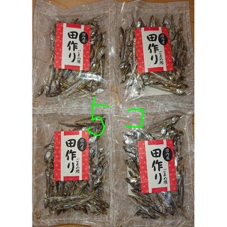 田作り用いりこ 35g×５袋(乾物)