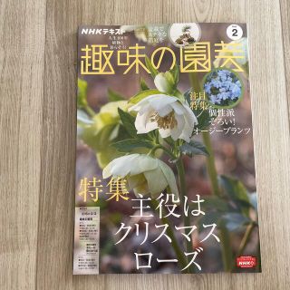 NHK 趣味の園芸 2022年 02月号(趣味/スポーツ)