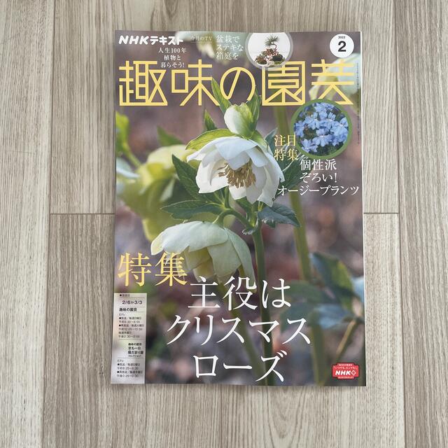 NHK 趣味の園芸 2022年 02月号とやさいの時間2022年2.3月号 エンタメ/ホビーの雑誌(趣味/スポーツ)の商品写真