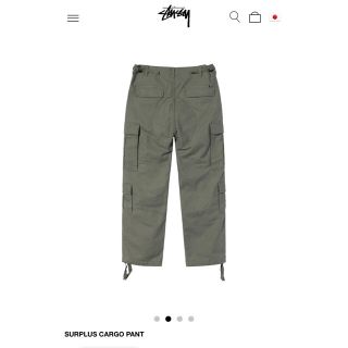 ステューシー(STUSSY)のstussy SURPLUS CARGO PANT カーゴパンツ(ワークパンツ/カーゴパンツ)