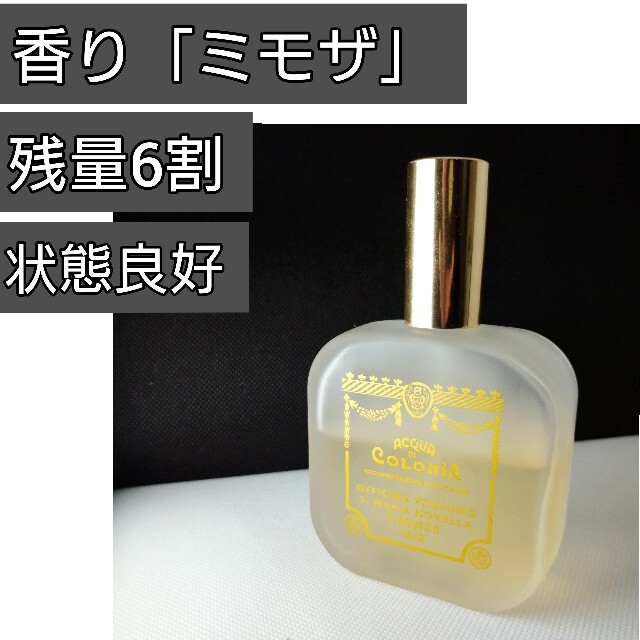 紺×赤 専用サンタマリアノッヴェラ ミモザ - 通販