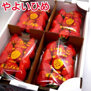 千葉県産★やよいひめステビア農法★果肉しっかり甘さバッチリ❢(フルーツ)