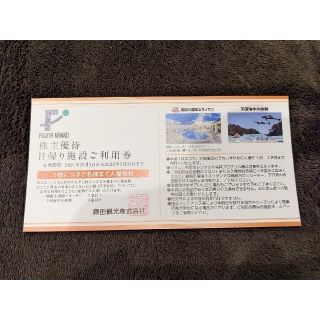 1枚2名様分　ユネッサン　下田海中水族館　藤田観光　株主優待券(遊園地/テーマパーク)