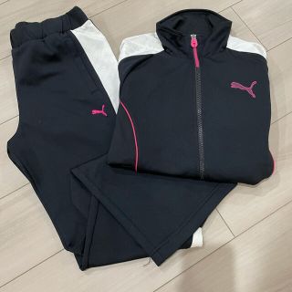 プーマ(PUMA)のPUMA  レディース　ジャージセット♡(トレーナー/スウェット)