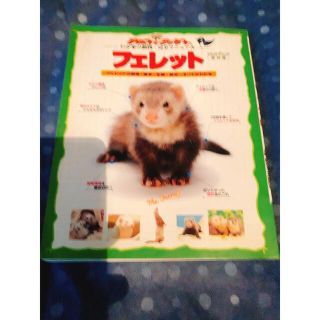 フェレット飼育マニュアル本(小動物)