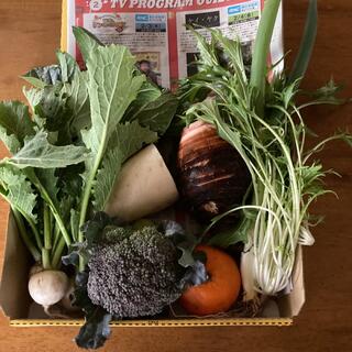 無農薬野菜セット，香川県産コンパクトBOXいっぱい(野菜)