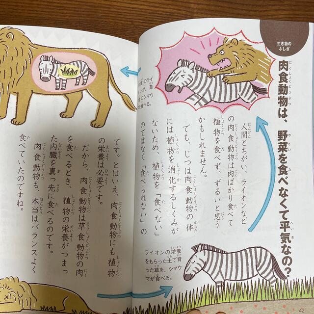 たのしい！科学のふしぎなぜ？どうして？ ３年生 エンタメ/ホビーの本(絵本/児童書)の商品写真