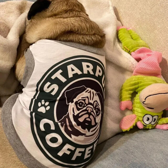 フレブル⭐︎パグ⭐︎ボストンテリア⭐︎犬服⭐︎dog wear その他のペット用品(犬)の商品写真