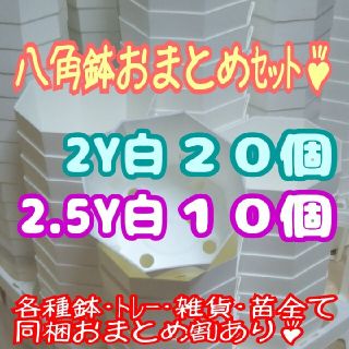 カネヤ【2Y20個･2.5Y10個】八角鉢白 プラ鉢スリット鉢プレステラ多肉植物(プランター)