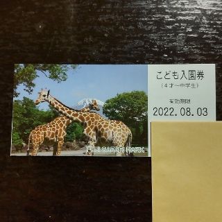 富士サファリパーク　こども入園券(動物園)