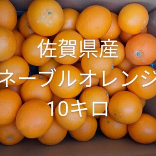 オレンジ１０キロ(フルーツ)