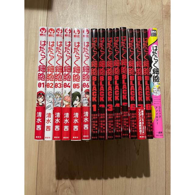 はたらく細胞　＋はたらく細胞BLACK 全巻　＋アンソロジー全巻セット