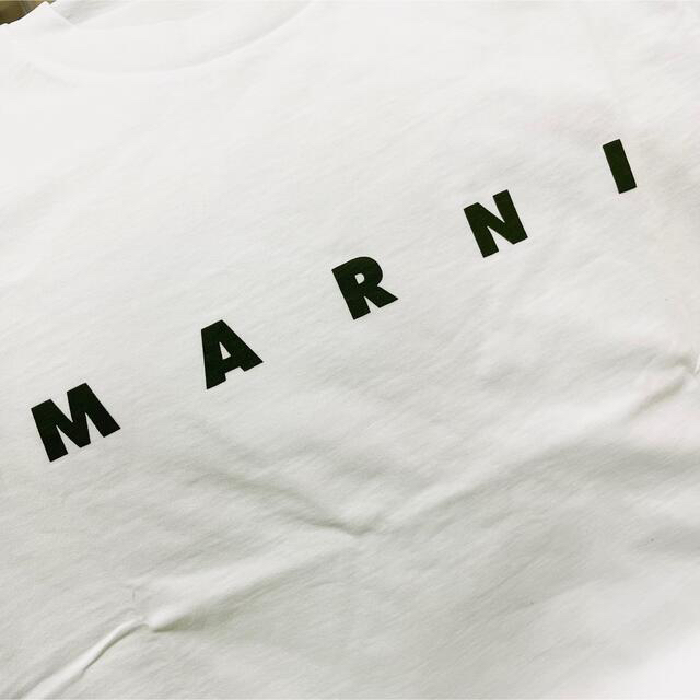 Marni(マルニ)の新品♡大人も着用可♡marni♡マルニ♡ロゴTシャツ♡10 レディースのトップス(Tシャツ(半袖/袖なし))の商品写真