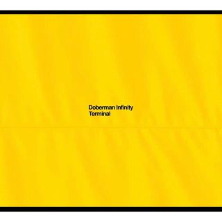 DOBERMAN INFINITY TERMINAL(初回限定盤)CD+2DVD(ポップス/ロック(邦楽))