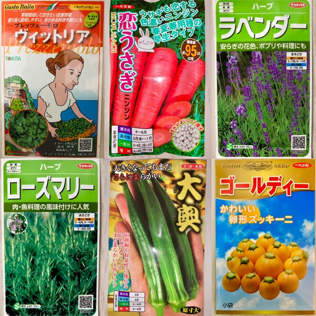 野菜の種　5種セット 食品/飲料/酒の食品(野菜)の商品写真