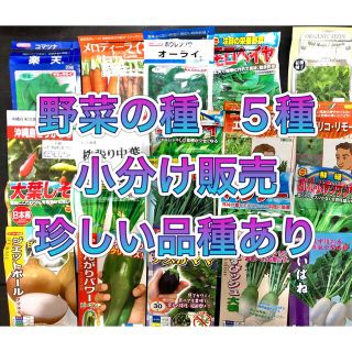 野菜の種　5種セット(野菜)