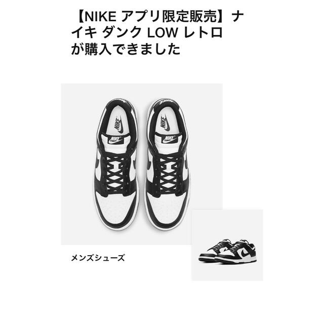NIKE(ナイキ)のNIKE DUNK LOW RETRO BLACK/WHITE メンズの靴/シューズ(スニーカー)の商品写真