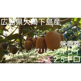 無農薬！広島県大崎下島産 グリーンキウイ S玉2.5キロ(フルーツ)