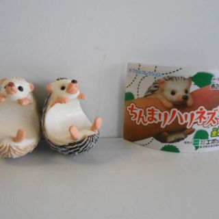 デジタルハリネズミのフリマアイテム一覧 デジタルハリネズミのフリマアイテム一覧