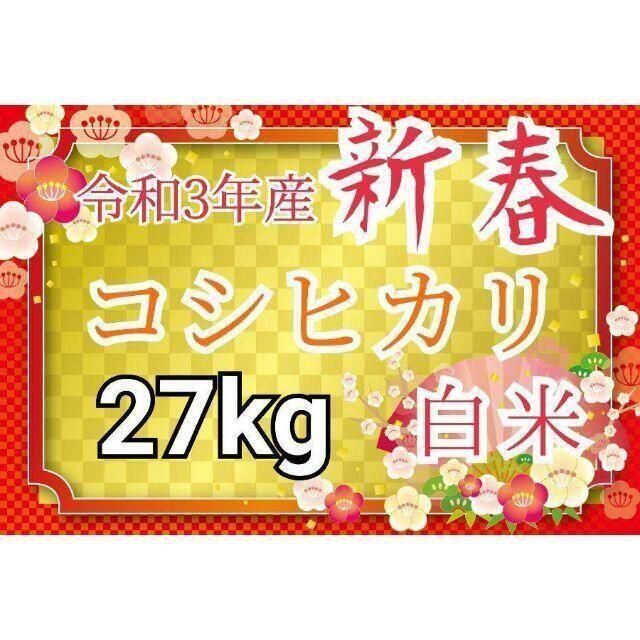 埼玉県産　白米　27kg　新米　美味しいお米　令和3年　コシヒカリ　送料無料　米/穀物
