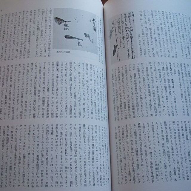 ☆いけばな芸術(26)【いけばな総合大事典(3)／は～わ】主婦の友(R0039)