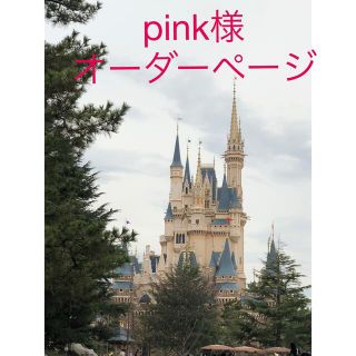 pink様専用！オーダーページ(バッグ/レッスンバッグ)