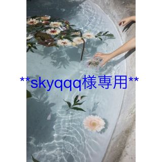 グッチ(Gucci)の**skyqqq様専用**(セカンドバッグ/クラッチバッグ)