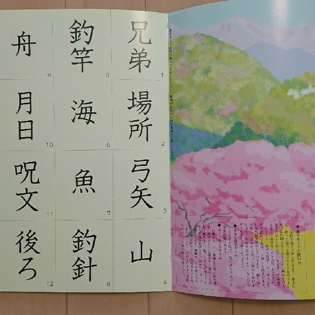 石井式 漢字絵本 30冊 セット 知育 幼児
