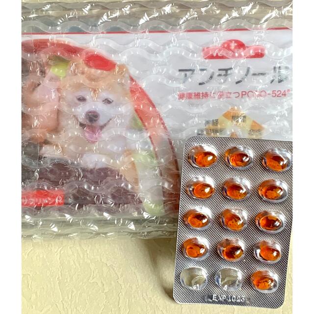 アンチノール　犬用　90粒　1箱　+13粒　合計103粒