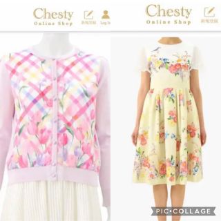 チェスティ(Chesty)の週末まで！売り切り！Chesty まとめ売り(カーディガン)