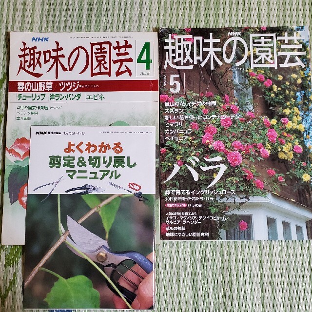 ⑪趣味の園芸　2冊セット　付録付き エンタメ/ホビーの本(趣味/スポーツ/実用)の商品写真