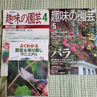 ⑪趣味の園芸　2冊セット　付録付き(趣味/スポーツ/実用)