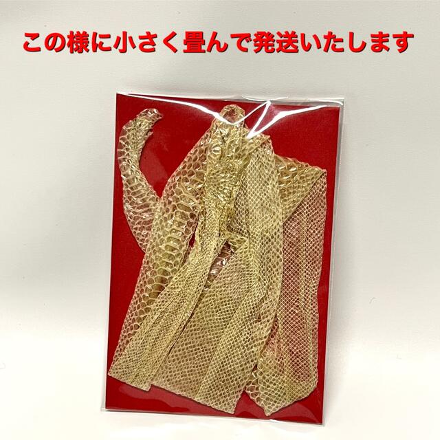 蛇 蛇抜け殻 脱皮 一本抜け殻 55cm その他のペット用品(爬虫類/両生類用品)の商品写真