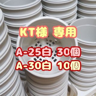 プラ鉢2.5号鉢【A-25】30個 他 スリット鉢 丸 プレステラ 多肉植物(プランター)