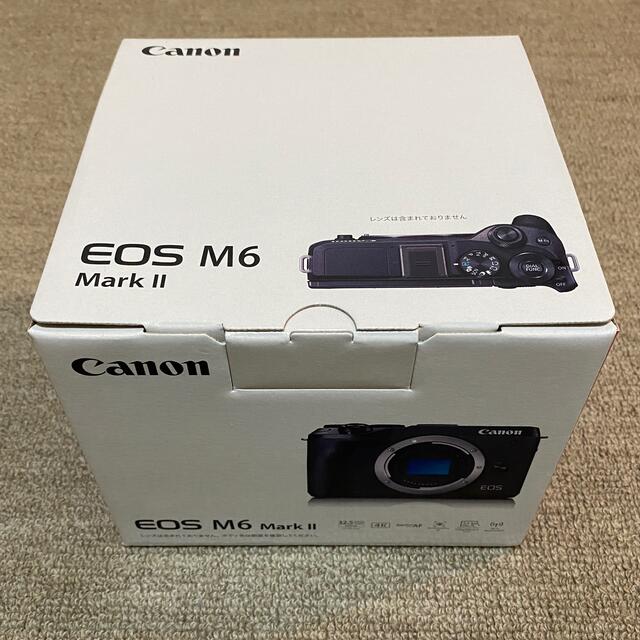 Canon EOS M6 Mark II ミラーレス一眼カメラ シルバー ボディ (週末
