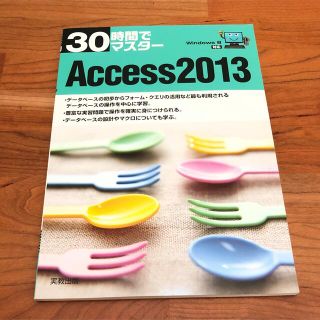 Access 30時間でマスタ－Access2013 本 実用書 アクセス(コンピュータ/IT)