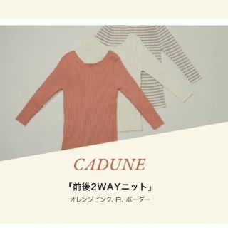 マイストラーダ(Mystrada)の【新品未使用】CADUNEノベルティ 前後2WAYニット(ニット/セーター)