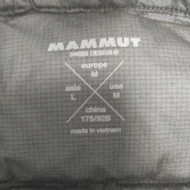 Mammut(マムート)の新品 Meron IN Hooded Jacket AF Menマムートタグ無し メンズのジャケット/アウター(ダウンジャケット)の商品写真