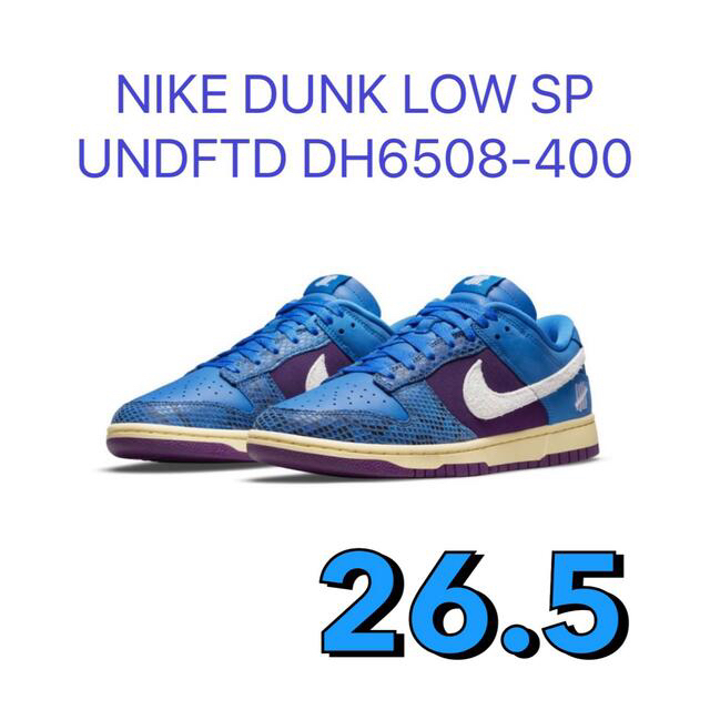 NIKE(ナイキ)のNIKE DUNK LOW SP / UNDFTD DH6508-400 メンズの靴/シューズ(スニーカー)の商品写真